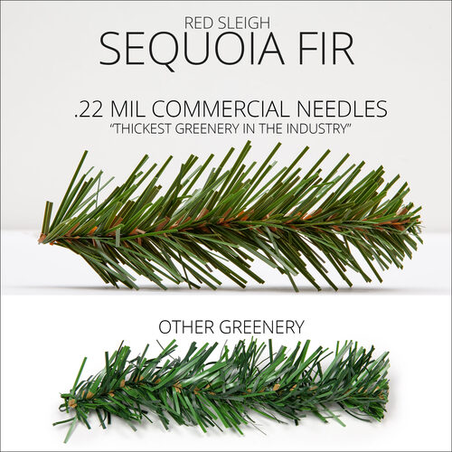 Sequoia Fir Wreath