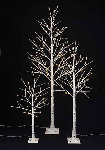 White Birch Tree